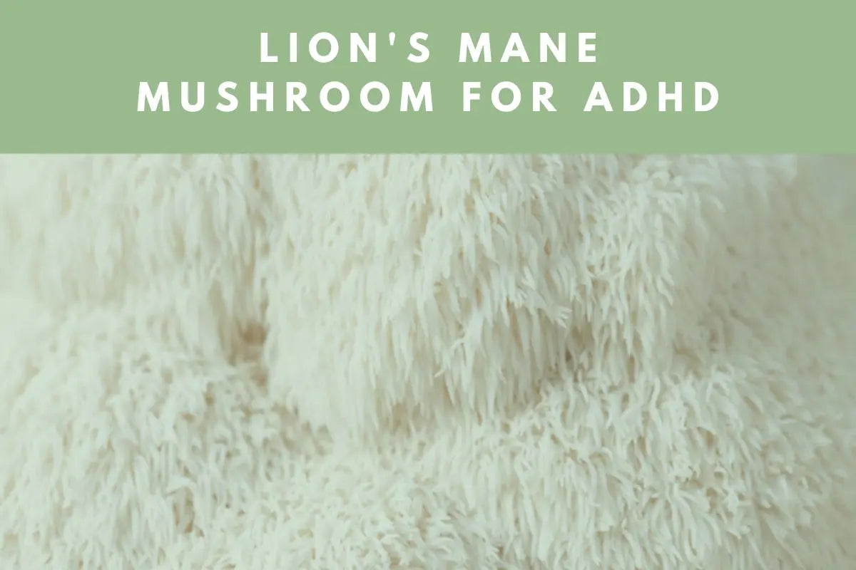 Lion's Mane Mushroom for ADHD