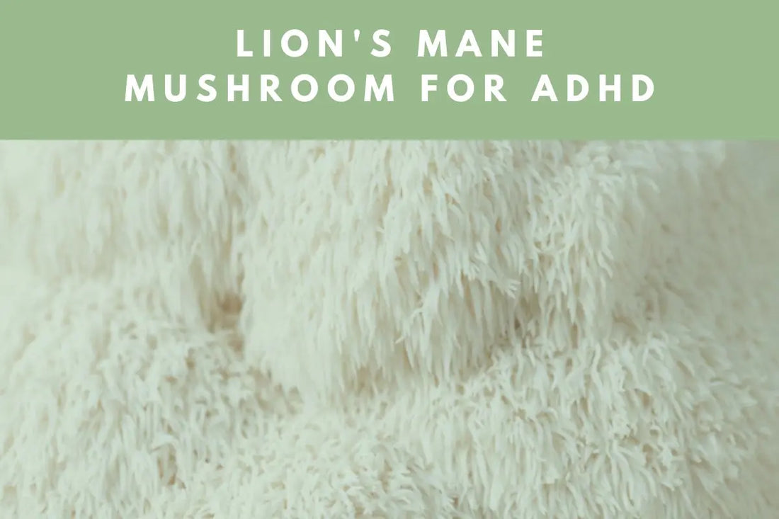 Lion's Mane Mushroom for ADHD