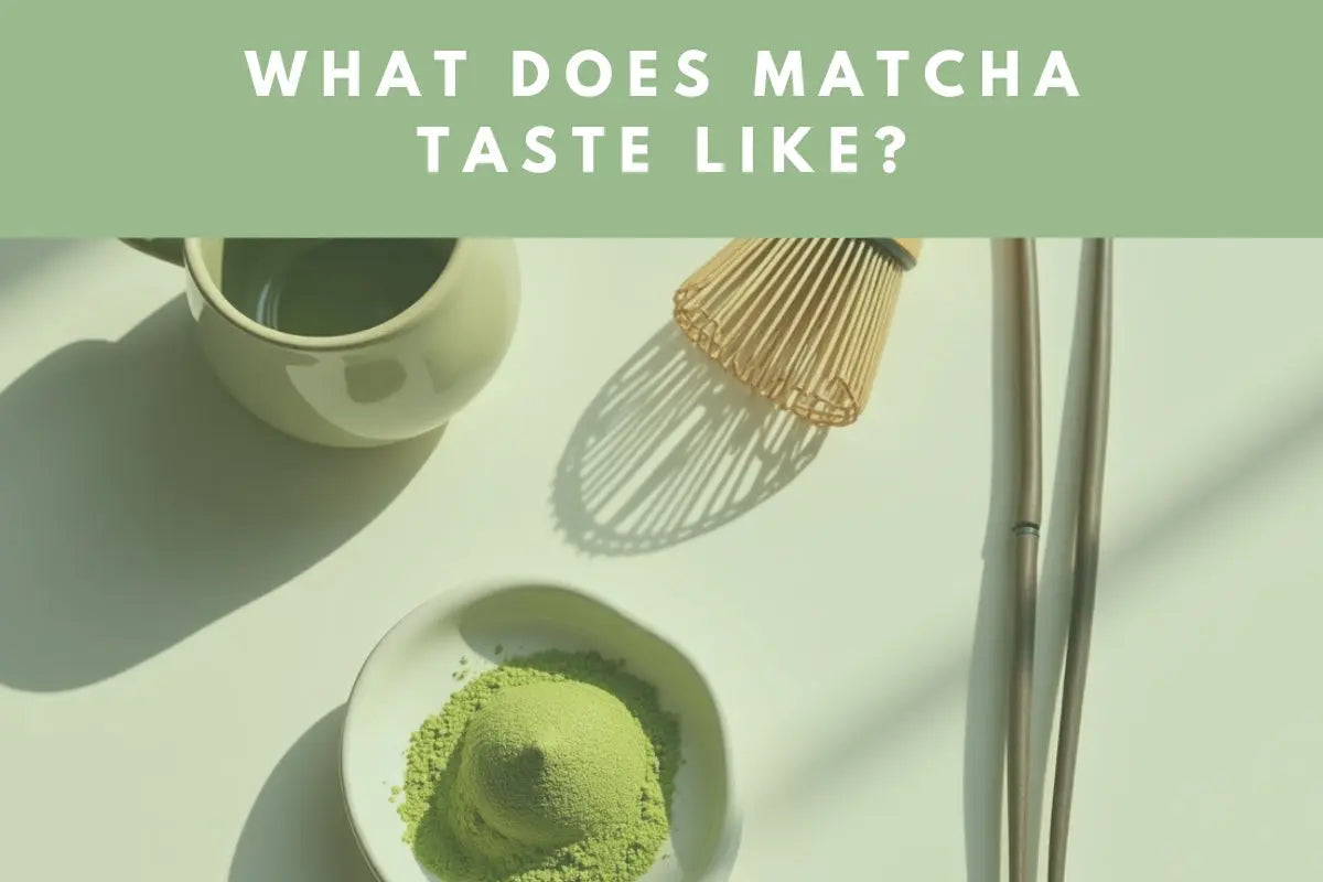 What Does Matcha Taste Like?
